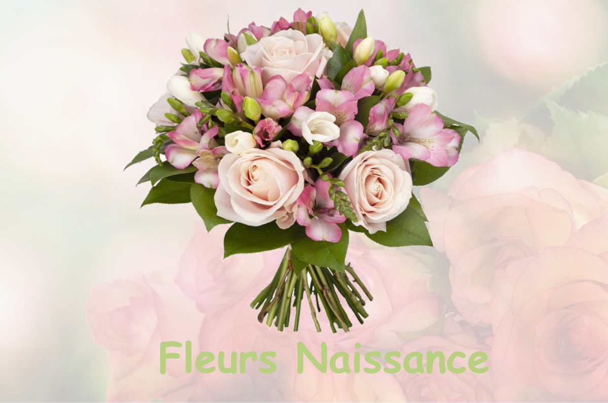 fleurs naissance BUSSIERE-BOFFY