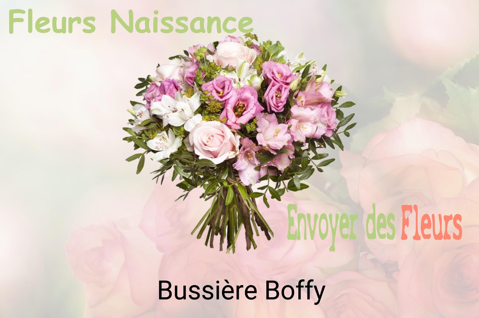 Bouquet de fleurs de naissance livré à Bussière-Boffy